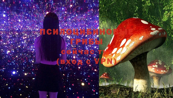 кокс Кукмор